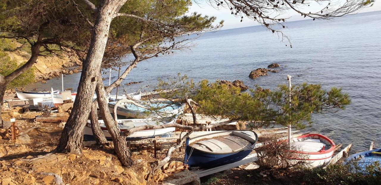 Chambres D'Hotes Chez Pat Et Nanou Six-Fours-les-Plages Exterior foto